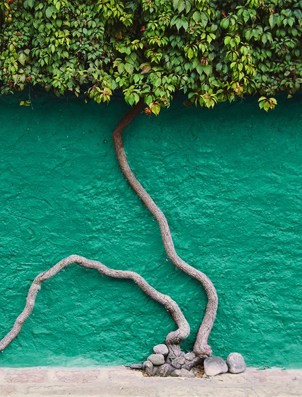 spannweite_website_Jobcoaching_Content2_608x800px.jpg spannweite_website_Jobcoaching_Content2_608x800px