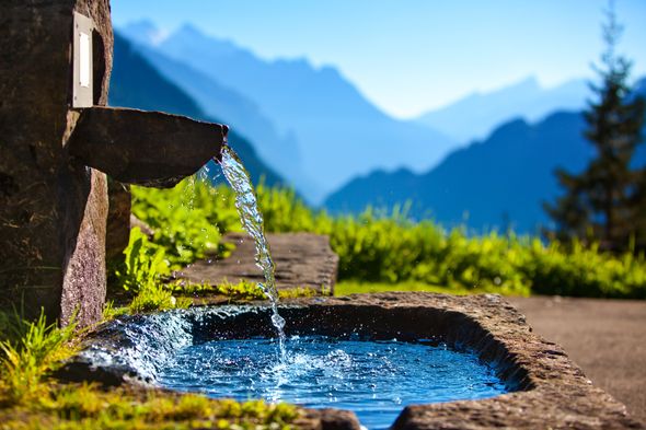 shutterstock_139337444.jpg shutterstock_139337444